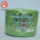 High Breaking Strength PP Warping Polypropylene Tomato Twine UV Treated