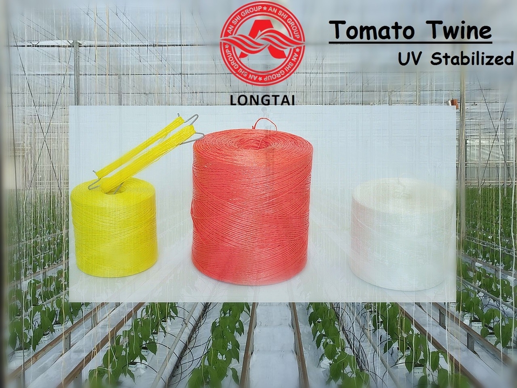 2.5mm Diameter Banana Twine , Agricultural PP Baler Twine 30 TPM Twisted